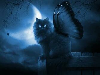 Fantasy Butterfly Cat Wallpaper