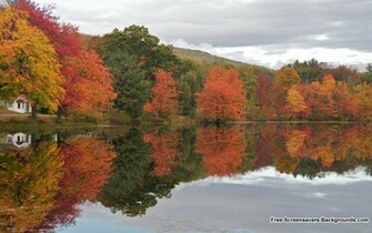 Wall Info Events Wallpaper New York Autumn Preet S