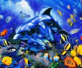 Dolphin Underwater Wallpaper Dodge Charger Dog