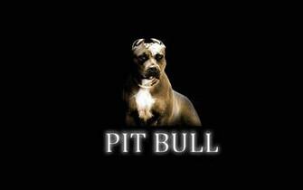 Pitbull Dog Wallpaper