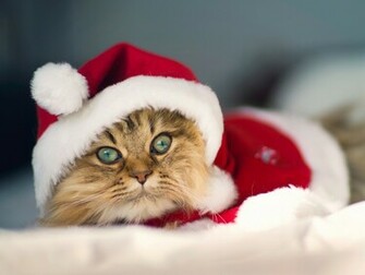 Also Love Christmas Wallpaper Background HD Desktop