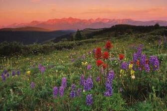 Colorado Background Sunrise In The