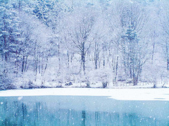 Winter Snow Desktop Wallpaper
