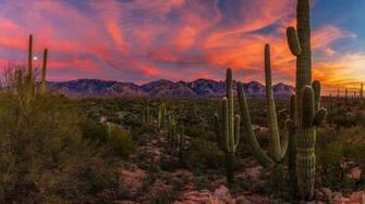 Arizona Wallpaper Top Background