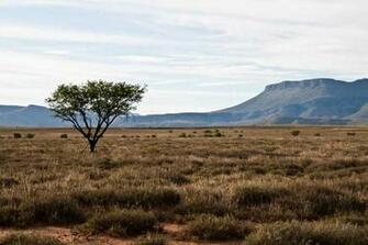 South Africa Landscape Wallpaper