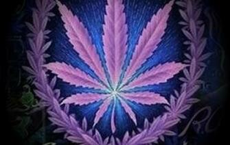 Marijuana Desktop Wallpaper