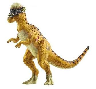 Best Pachycephalosaurus Wallpaper