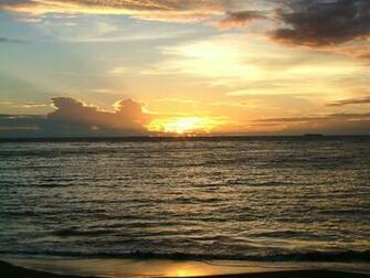 Animals Zoo Park Sunrise Beach Wallpaper For Beautiful Desktop