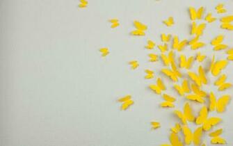 Yellow And White Wallpaper High Definition Quality
