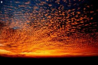 Amazing HD And QHD Sunset Wallpaper