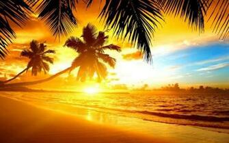 Tropical Island Sunset Wallpaper HD