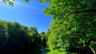 Nature Wallpaper