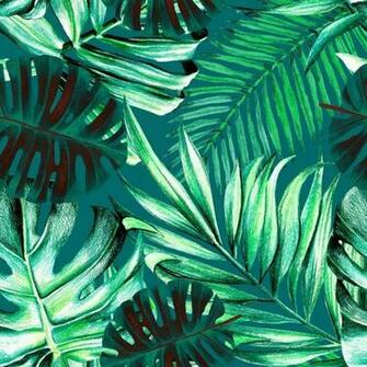 T25k31g Green Leaves Wallpaper Picserio