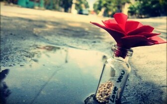 Wallpaper Love HD