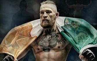 HD Wallpaper Brock Lesnar Ufc Desktop