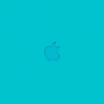 iPad Pro Apple Logo