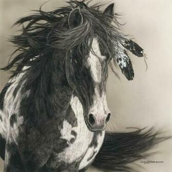 Indian Horse By Werewolves0791