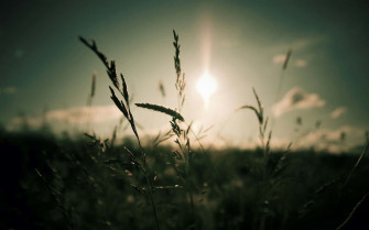Dark Nature Background Wallpaper