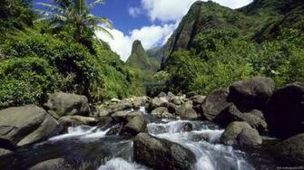 Tropical Paradise Art Prints Wall And Posters Murals Buy A
