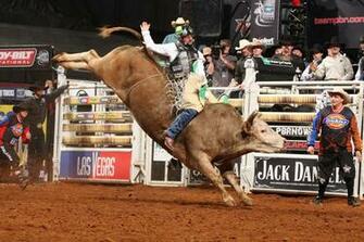 Bull Riding Wallpaper HD Net