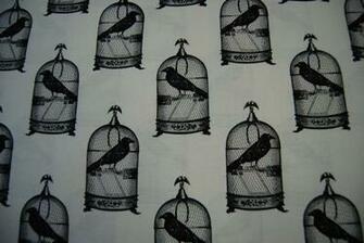 Edgar Allen Poe Nevermore Raven Claw Bird Black Crow Spooky