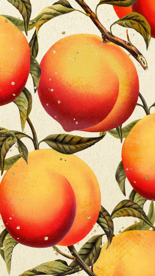 Peach iPhone Wallpaper Vintage Aesthetic