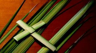 Palm Sunday Wallpaper Background On