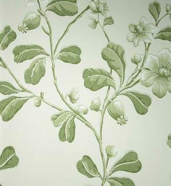 Green Floral Wallpaper Broadwick Street English Heritage