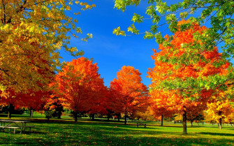 Autumn Serenity Wallpaper