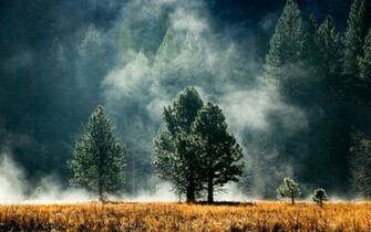 Pacific Northwest Wallpaper