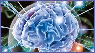 Brain Wallpaper HD Percent Of Our
