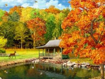 Fall Screensavers