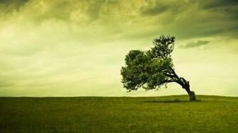Alt Live Laptop Background HD Wallpaper Title