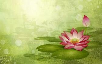 Lotus Flowers Wallpaper Desktop Background