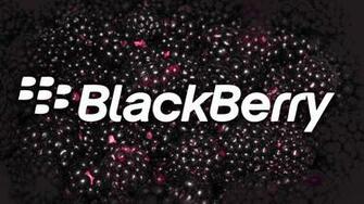Search Blackberry Related Products Zuoda Net