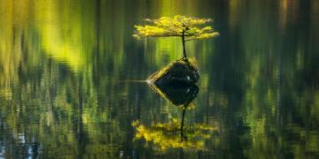 Wallpaper 500px Vancouver Island Canada Nature Water