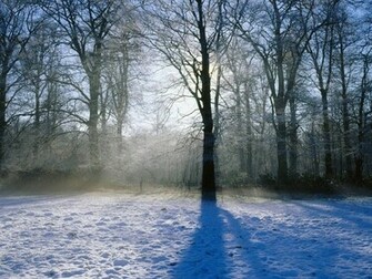 Winter Wallpaper Background Funny Pictures