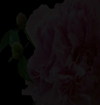 Funeral Background Related Keywords Amp Suggestions
