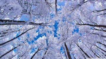 Top High Resolution Winter Wallpaper HD Book