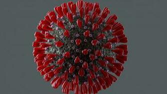 May Coronavirus Updates Cpd Breaks Up Parties Amid Pandemic