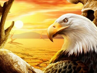 Eagle Wallpaper Desktop