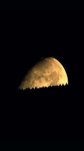 Android Best Wallpaper Supermoon Over Forest Canopy