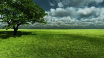 Santabanta Wallpaper Nature Image