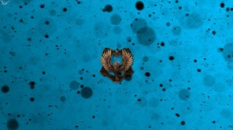 Hogwarts House Wallpaper Ravenclaw By Theladyavatar