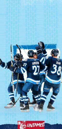 Wallpaper Manitoba Moose