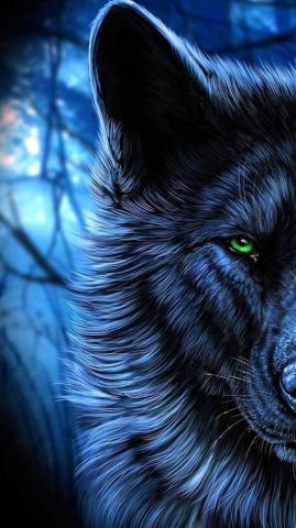 Wolf Moon Wallpaper Enjpg