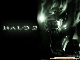 Halo Universe