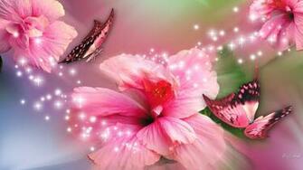 Flowers And Butterflies Pink High Quality Resolution