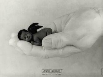 Las Mejores Fotos De Anne Geddes Megapost