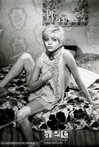 Film Title Cactus Flower Director Gene Saks Studio